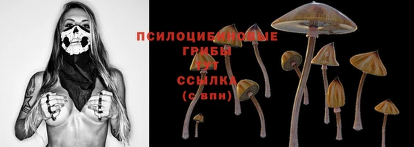 ALPHA-PVP Алексин