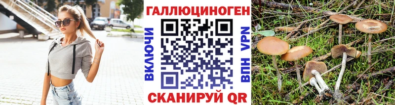Псилоцибиновые грибы Cubensis  купить   Макушино 
